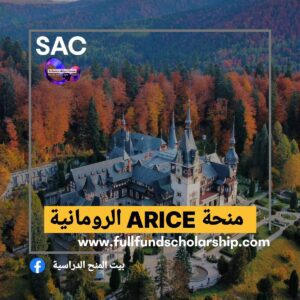 منح ARICE الرومانية 🇷🇴