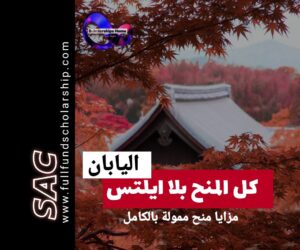 منح اليابان تمويل كامل بلا ايلتس|🇯🇵 2025-2026