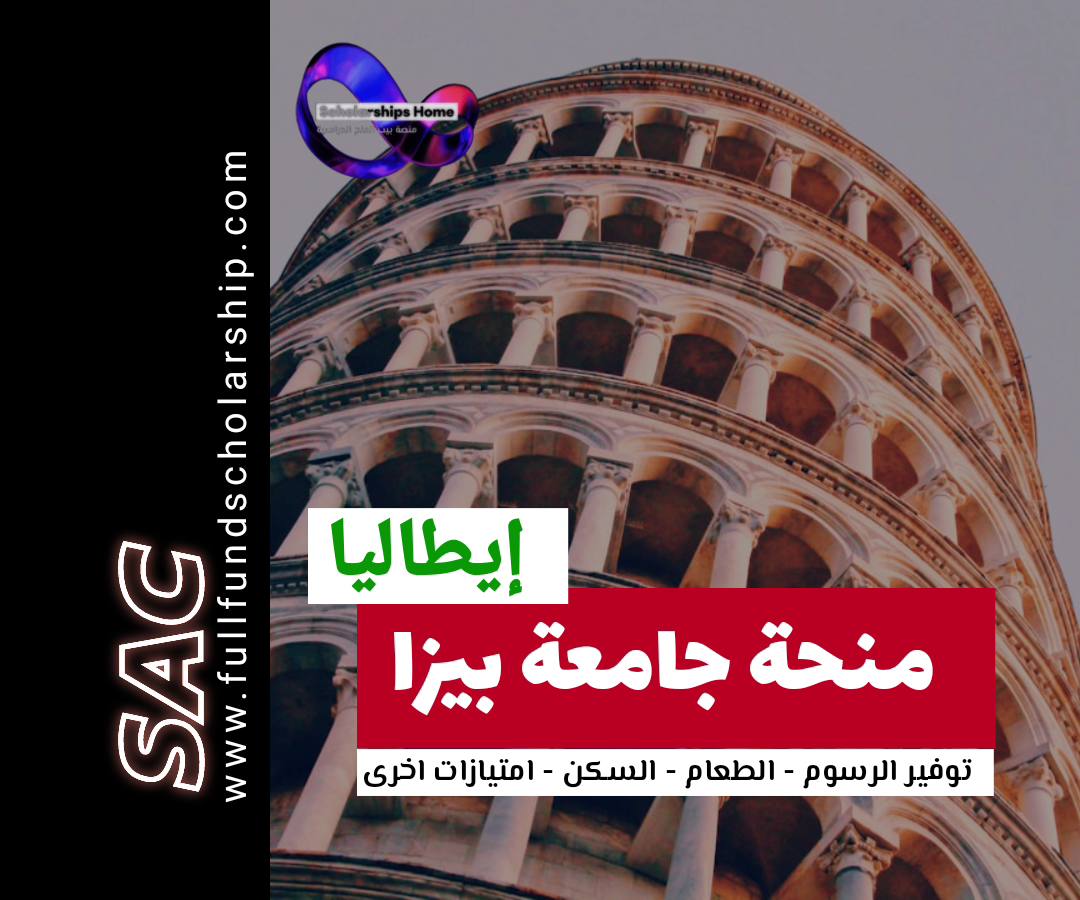 منحة جامعة بيزا