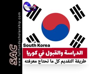 الدراسة والقبول في كوريا | الدليل الشامل للتقديم 2025-2026