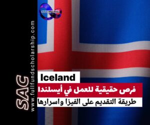 العمل في آيسلندا