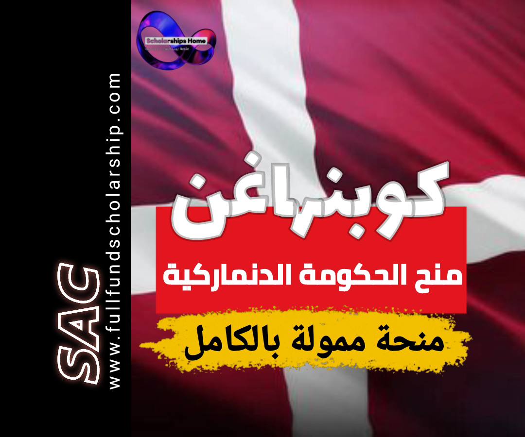 الدراسة في الدنمارك