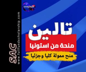 منحة تالين من استونيا 2025-2026 | الدراسة في استونيا مجانا