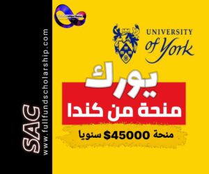 منحة يورك الكندية 2025-2026 | الدراسة في كندا مجانا