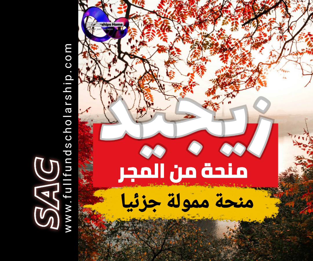 الدراسة في المجر سيجيد