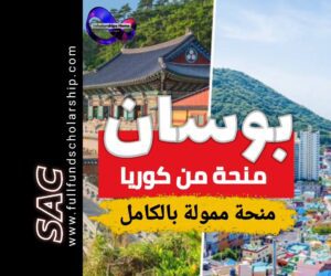 منحة جامعة بوسان من كوريا 2025-2026 | الدراسة في كوريا مجانا 🇰🇷