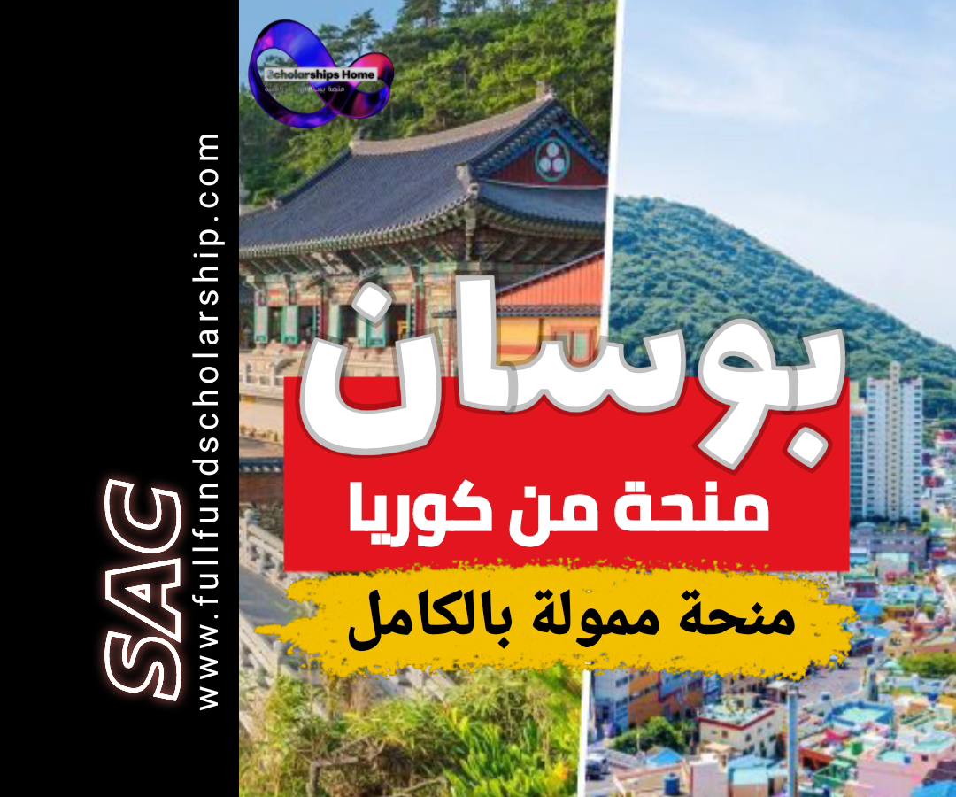 منحة جامعة بوسان