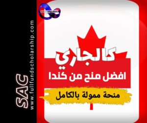 منحة كالجاري الكندية 2025 | الدراسة في كندا