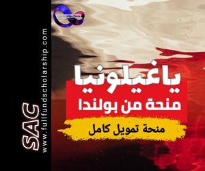 منح ياغيلونيا من كراكوف في بولندا 2025 | الدراسة في بولندا مجانا