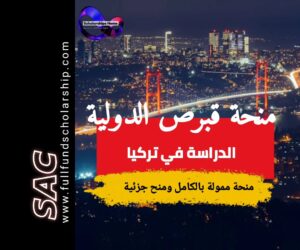منحة جامعة قبرص الدولية في تركيا 2025 | الدراسة في تركيا مجانا