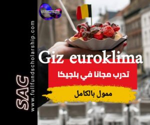 Giz euroklima
