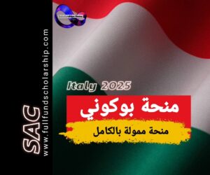 منحة بوكوني 2025