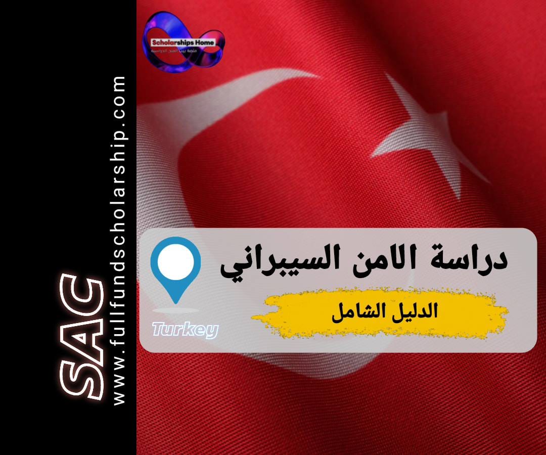 الامن السيبراني في تركيا
