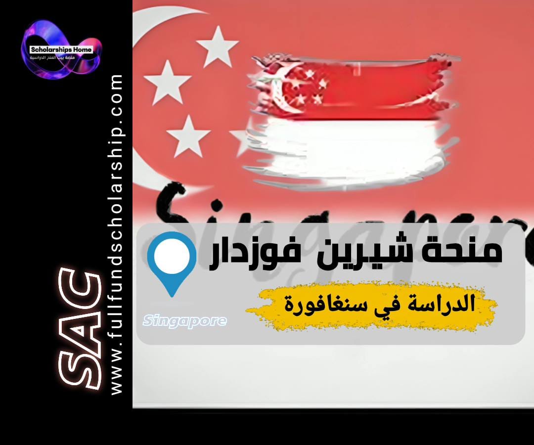 منحة شيرين فوزدار, الدراسة في سنغافورة, منح بكالوريوس, جامعة سنغافورة الوطنية, منح ممولة