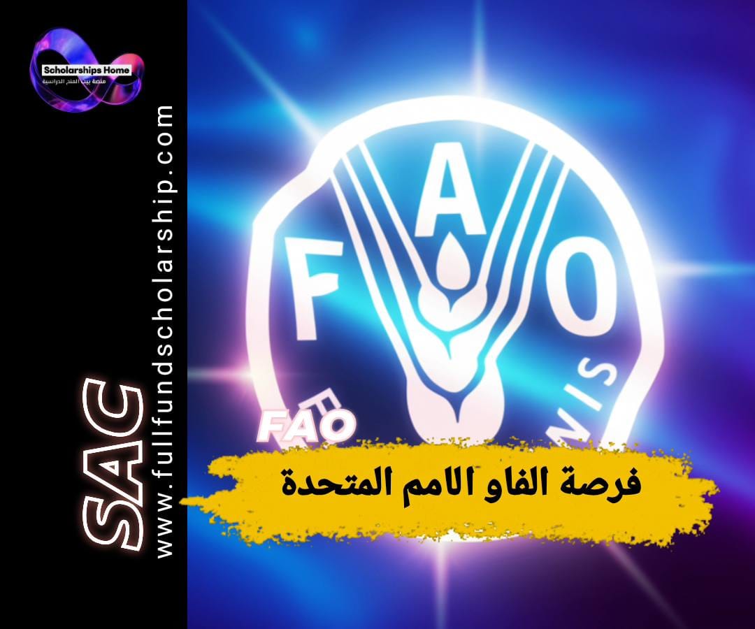 تدريب FAO, منظمة الأغذية والزراعة, تدريب في الأمم المتحدة, تدريب مدفوع الأجر, تدريب في روما