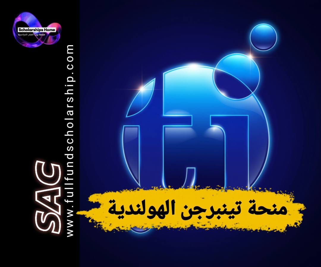 منحة معهد تينبرجن, منح هولندا, ماجستير في الاقتصاد, الدراسة في هولندا, منح ممولة بالكامل