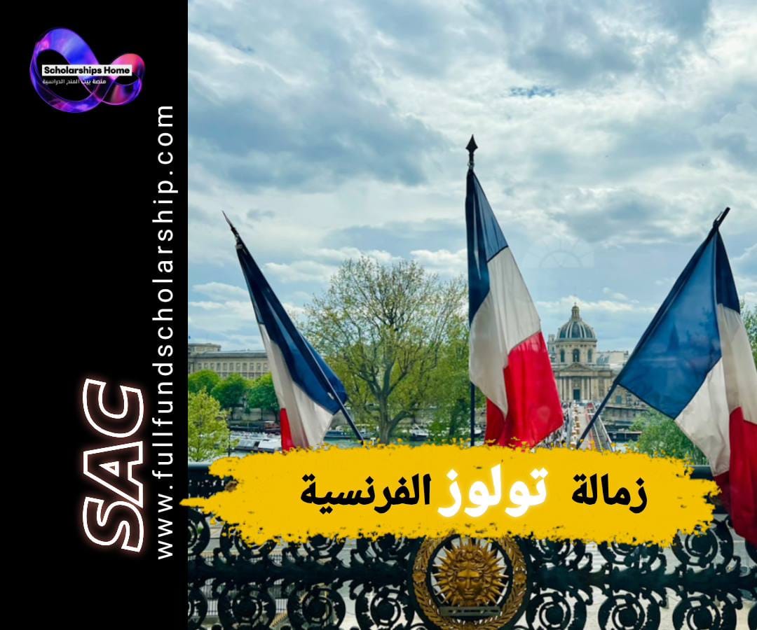 زمالة جامعة تولوز, IAST, زمالة ما بعد الدكتوراه, الدراسة في فرنسا, تمويل كامل, أبحاث متعددة التخصصات
