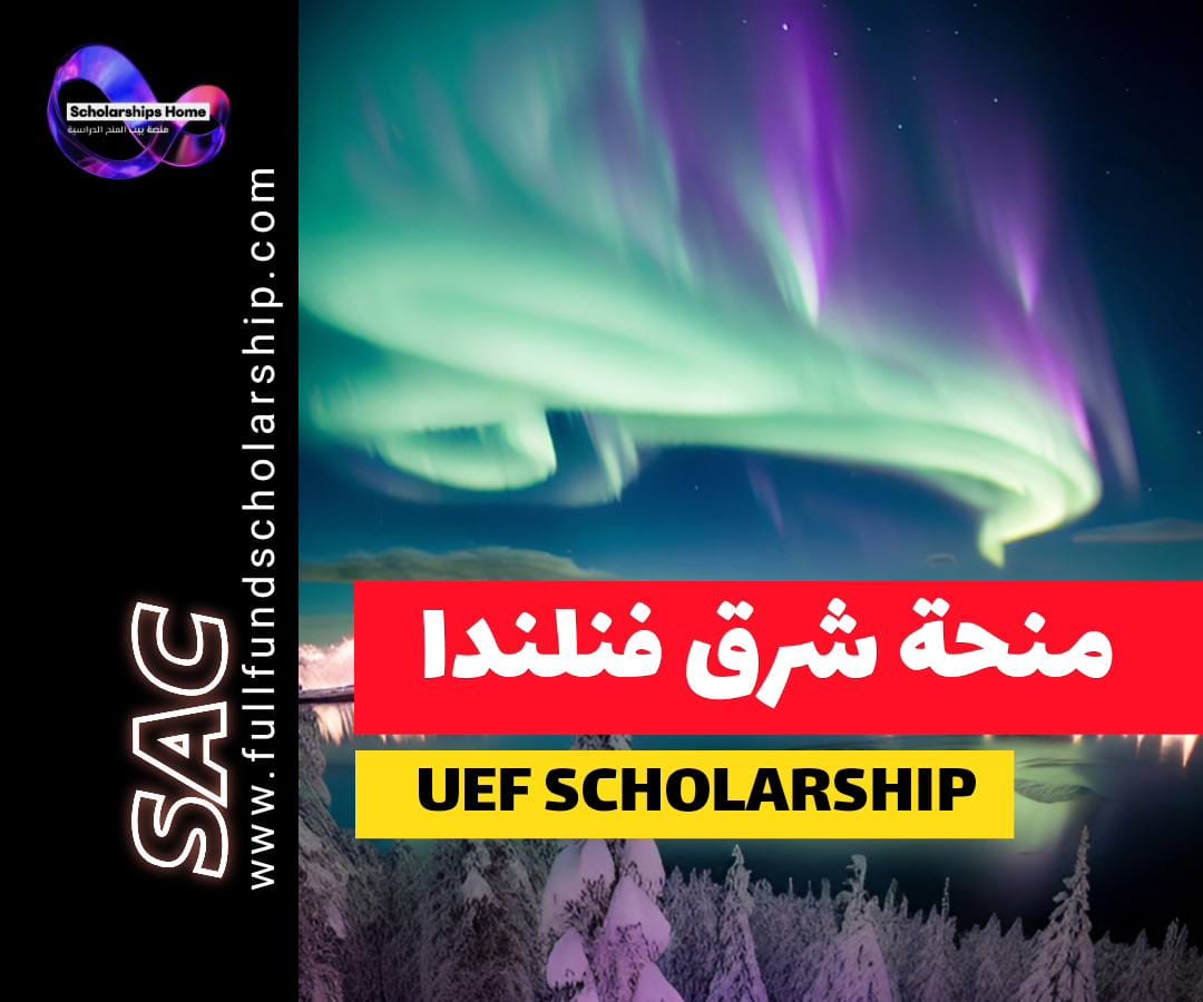 منحة جامعة شرق فنلندا, الدراسة في فنلندا, منح فنلندا, UEF Scholarship, منح بكالوريوس, منح ماجستير