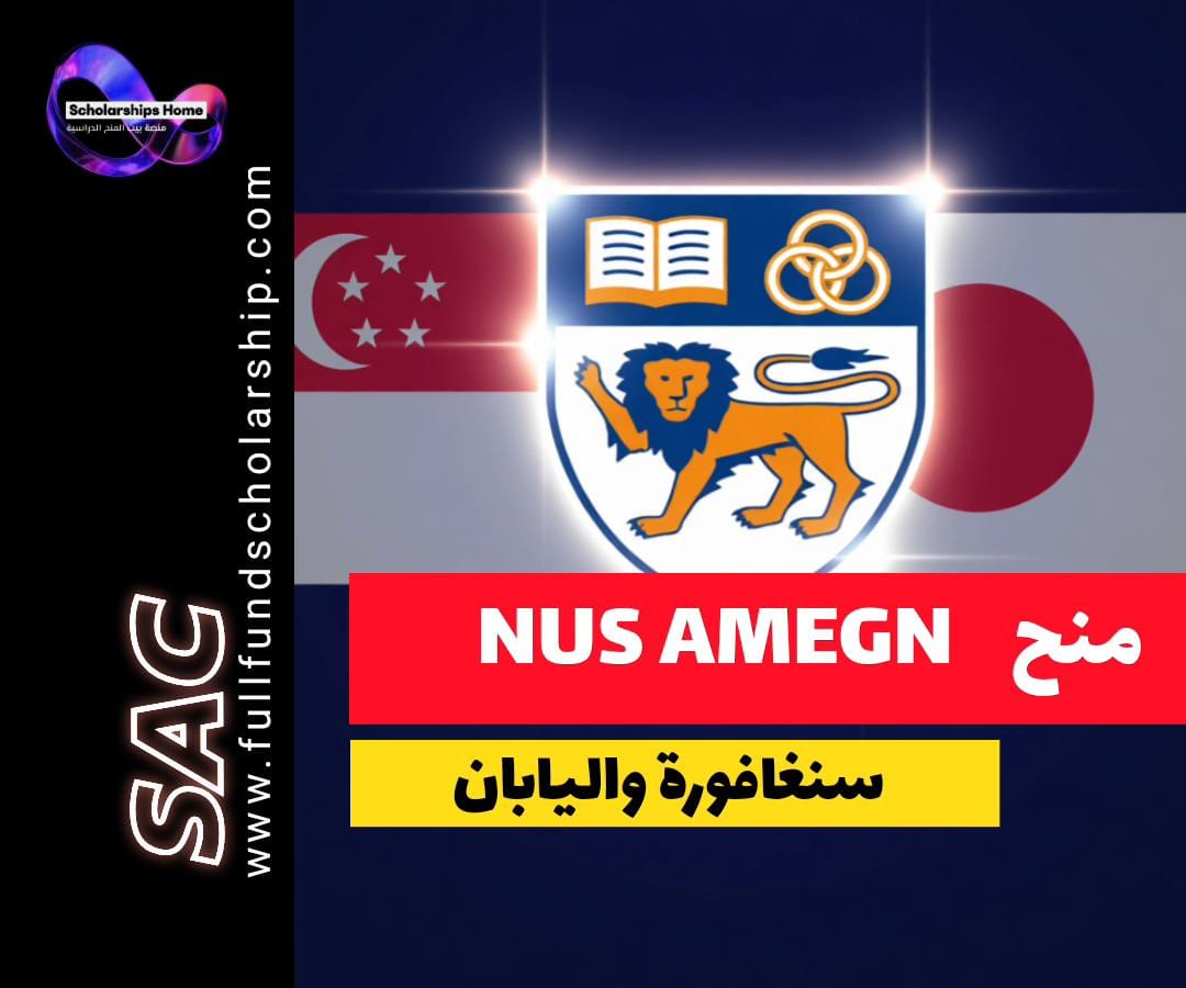 برنامج علماء Amgen, منحة سنغافورة, تدريب صيفي, جامعة سنغافورة الوطنية, البحث العلمي في اليابان
