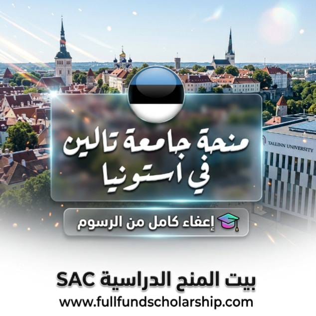 منحة جامعة تالين