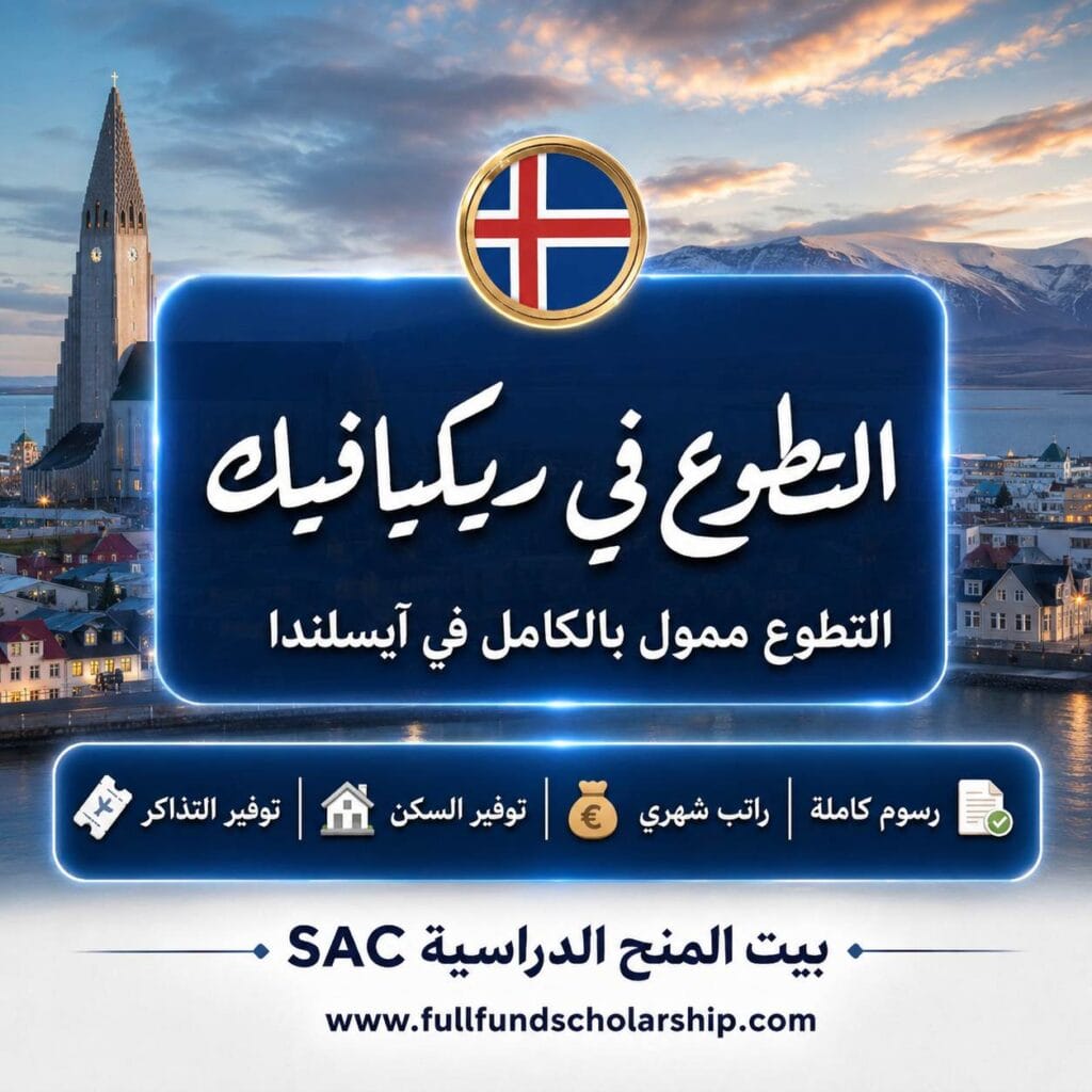 فرصة تطوع ممولة بالكامل في العاصمة الآيسلندية ريكيافيك!